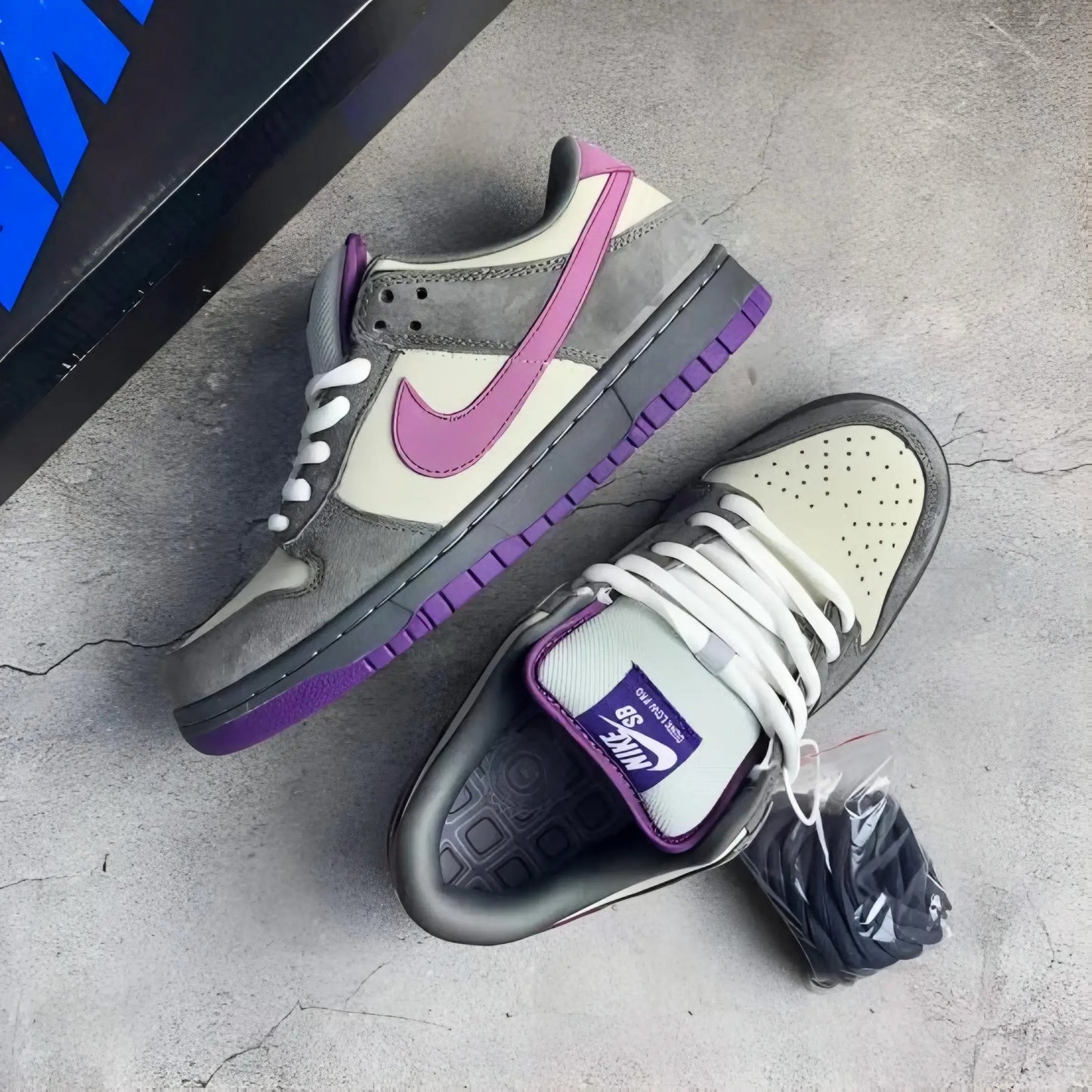 Nike SB Dunk Purple Pegion Low
